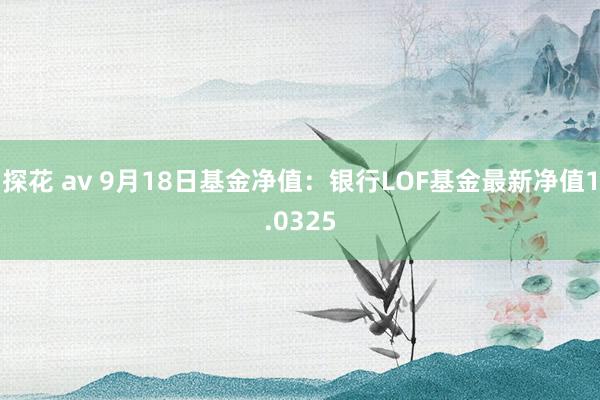 探花 av 9月18日基金净值：银行LOF基金最新净值1.0325