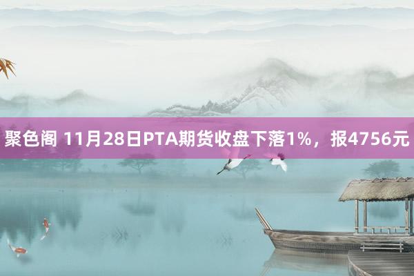 聚色阁 11月28日PTA期货收盘下落1%，报4756元