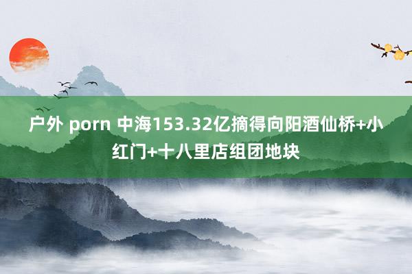 户外 porn 中海153.32亿摘得向阳酒仙桥+小红门+十八里店组团地块