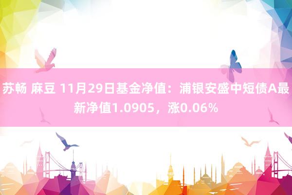 苏畅 麻豆 11月29日基金净值：浦银安盛中短债A最新净值1.0905，涨0.06%