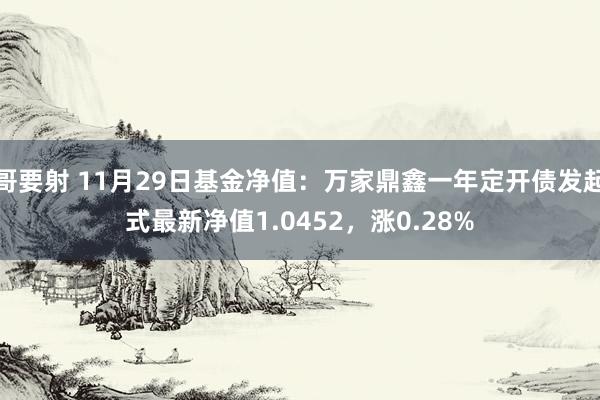 哥要射 11月29日基金净值：万家鼎鑫一年定开债发起式最新净值1.0452，涨0.28%