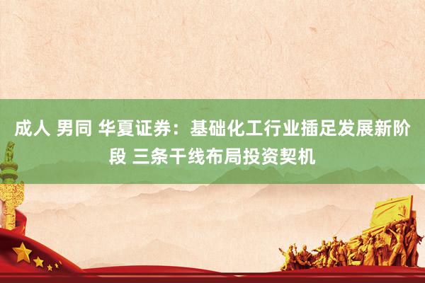 成人 男同 华夏证券：基础化工行业插足发展新阶段 三条干线布局投资契机