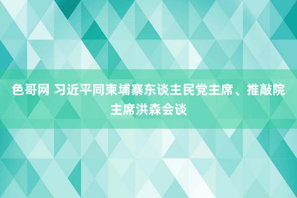 色哥网 习近平同柬埔寨东谈主民党主席、推敲院主席洪森会谈