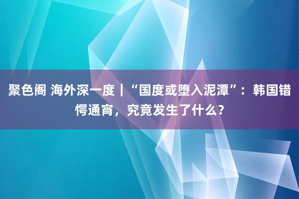聚色阁 海外深一度｜“国度或堕入泥潭”：韩国错愕通宵，究竟发生了什么？
