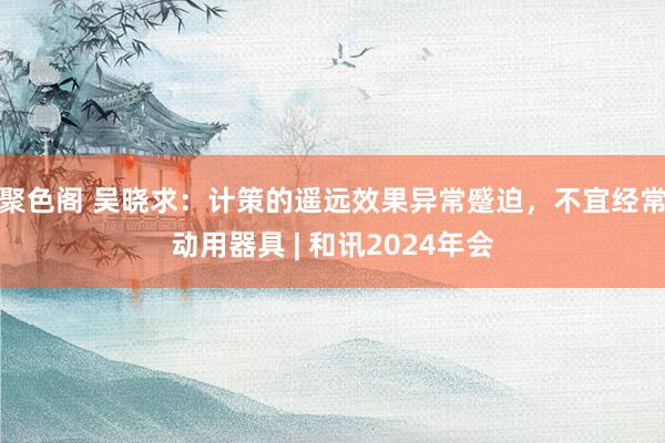 聚色阁 吴晓求：计策的遥远效果异常蹙迫，不宜经常动用器具 | 和讯2024年会