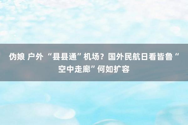伪娘 户外 “县县通”机场？国外民航日看皆鲁“空中走廊”何如扩容