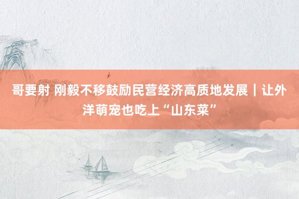 哥要射 刚毅不移鼓励民营经济高质地发展｜让外洋萌宠也吃上“山东菜”