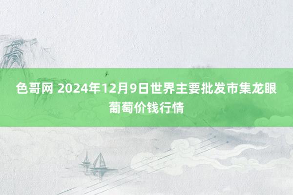 色哥网 2024年12月9日世界主要批发市集龙眼葡萄价钱行情