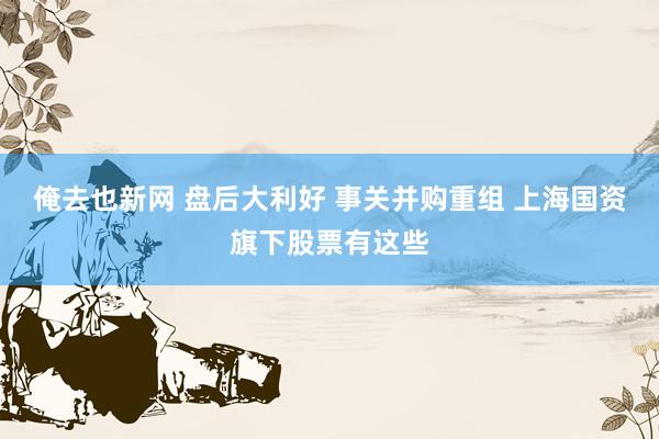 俺去也新网 盘后大利好 事关并购重组 上海国资旗下股票有这些