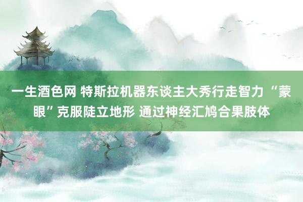 一生酒色网 特斯拉机器东谈主大秀行走智力 “蒙眼”克服陡立地形 通过神经汇鸠合果肢体