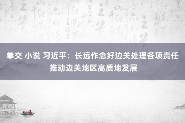 拳交 小说 习近平：长远作念好边关处理各项责任 推动边关地区高质地发展
