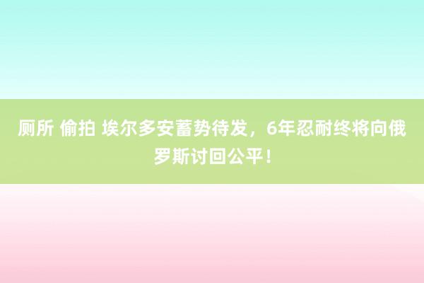 厕所 偷拍 埃尔多安蓄势待发，6年忍耐终将向俄罗斯讨回公平！