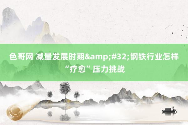 色哥网 减量发展时期&#32;钢铁行业怎样“疗愈”压力挑战