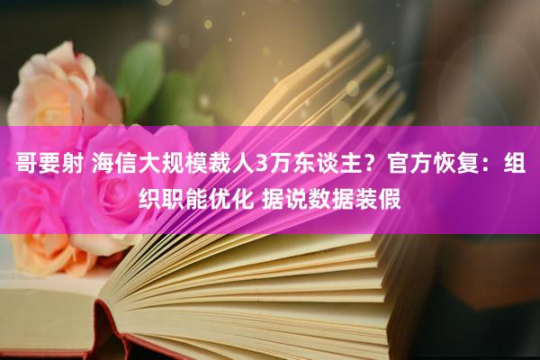 哥要射 海信大规模裁人3万东谈主？官方恢复：组织职能优化 据说数据装假