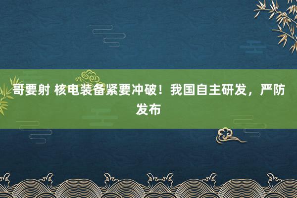 哥要射 核电装备紧要冲破！我国自主研发，严防发布