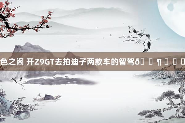 色之阁 开Z9GT去拍迪子两款车的智驾🐶 ​​​