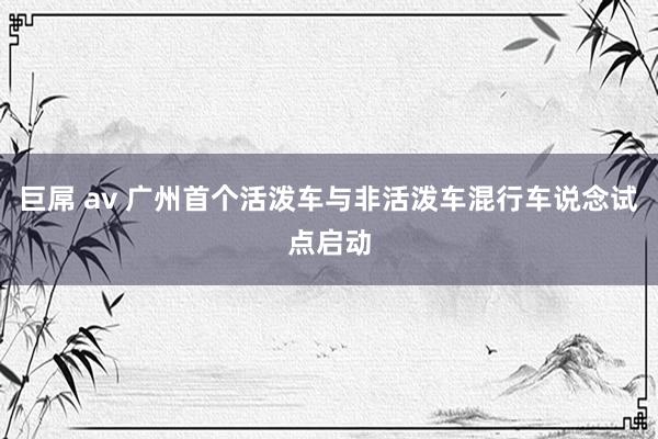 巨屌 av 广州首个活泼车与非活泼车混行车说念试点启动