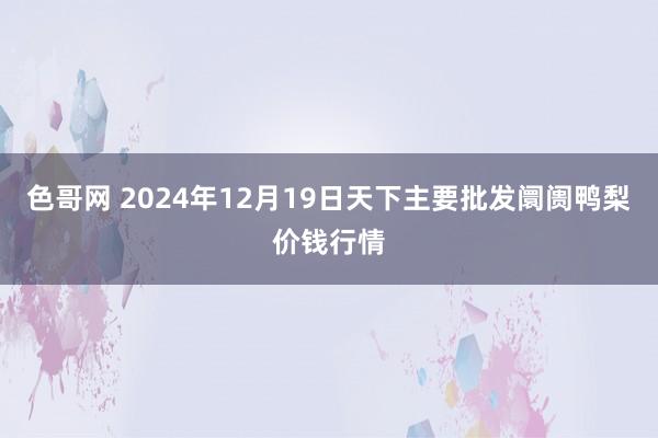 色哥网 2024年12月19日天下主要批发阛阓鸭梨价钱行情