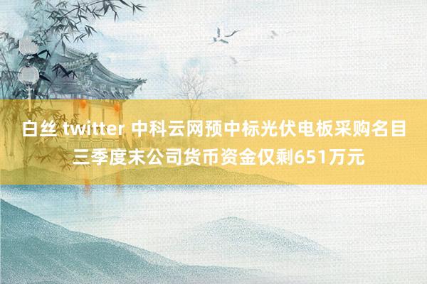 白丝 twitter 中科云网预中标光伏电板采购名目  三季度末公司货币资金仅剩651万元