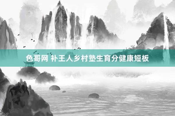 色哥网 补王人乡村塾生育分健康短板