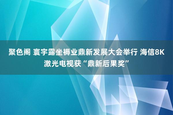 聚色阁 寰宇露坐褥业鼎新发展大会举行 海信8K激光电视获“鼎新后果奖”