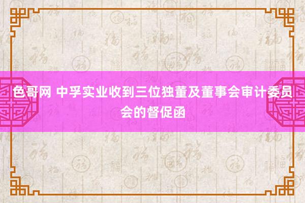 色哥网 中孚实业收到三位独董及董事会审计委员会的督促函