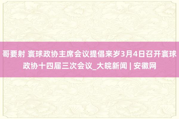哥要射 寰球政协主席会议提倡来岁3月4日召开寰球政协十四届三次会议_大皖新闻 | 安徽网