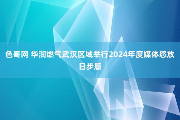 色哥网 华润燃气武汉区域举行2024年度媒体怒放日步履