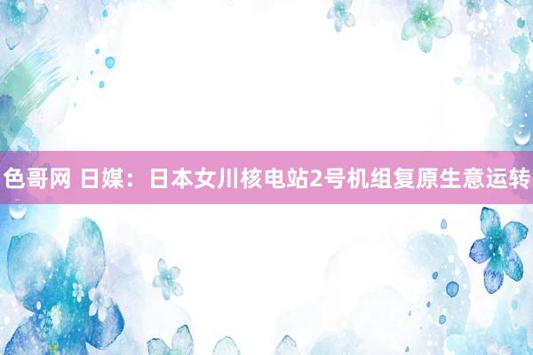色哥网 日媒：日本女川核电站2号机组复原生意运转