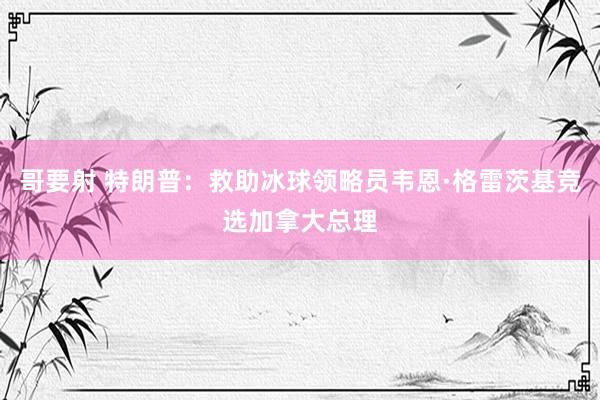 哥要射 特朗普：救助冰球领略员韦恩·格雷茨基竞选加拿大总理