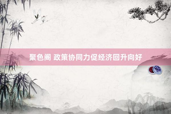 聚色阁 政策协同力促经济回升向好