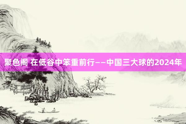 聚色阁 在低谷中笨重前行——中国三大球的2024年