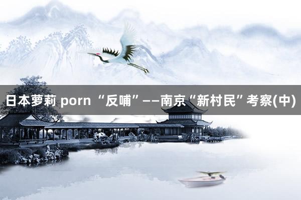 日本萝莉 porn “反哺”——南京“新村民”考察(中)