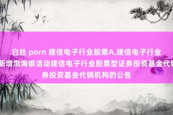 白丝 porn 建信电子行业股票A,建信电子行业股票C: 对于新增渤海银活动建信电子行业股票型证券投资基金代销机构的公告