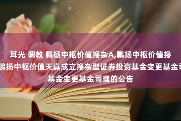 耳光 调教 鹏扬中枢价值搀杂A,鹏扬中枢价值搀杂C: 对于鹏扬中枢价值天真成立搀杂型证券投资基金变更基金司理的公告