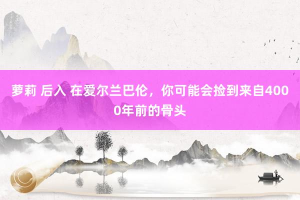 萝莉 后入 在爱尔兰巴伦，你可能会捡到来自4000年前的骨头
