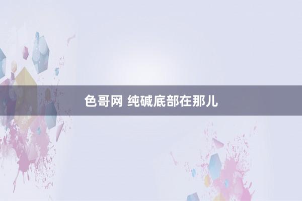 色哥网 纯碱底部在那儿