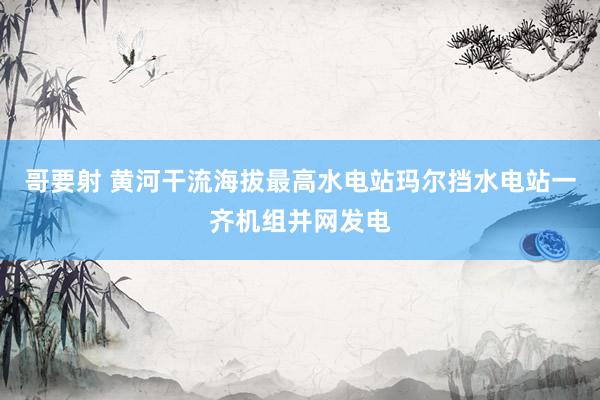 哥要射 黄河干流海拔最高水电站玛尔挡水电站一齐机组并网发电