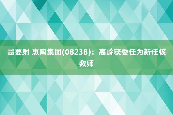 哥要射 惠陶集团(08238)：高岭获委任为新任核数师