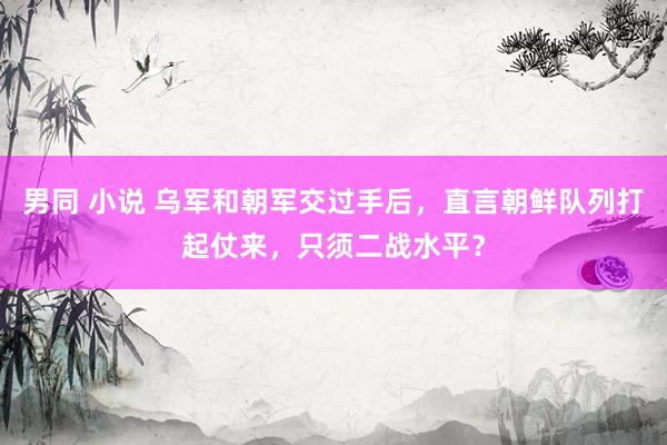 男同 小说 乌军和朝军交过手后，直言朝鲜队列打起仗来，只须二战水平？