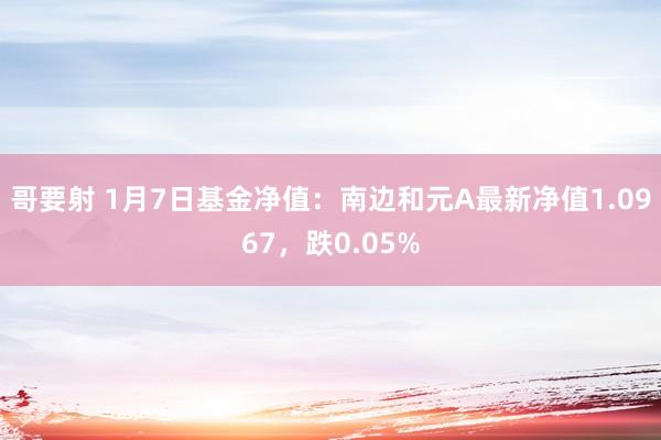 哥要射 1月7日基金净值：南边和元A最新净值1.0967，跌0.05%