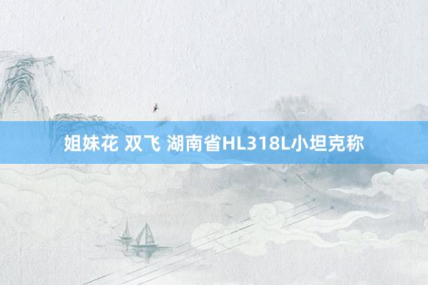 姐妹花 双飞 湖南省HL318L小坦克称