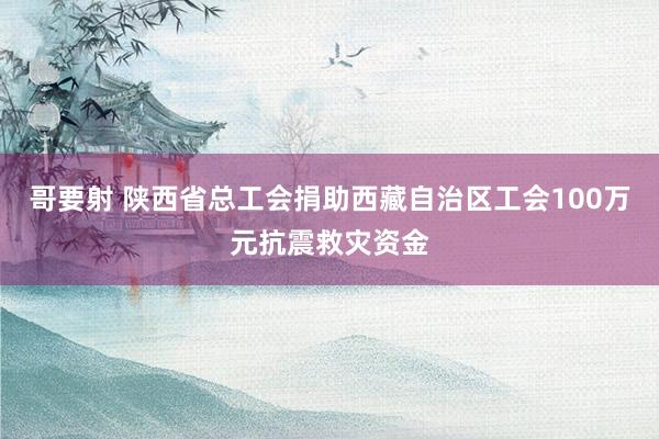 哥要射 陕西省总工会捐助西藏自治区工会100万元抗震救灾资金