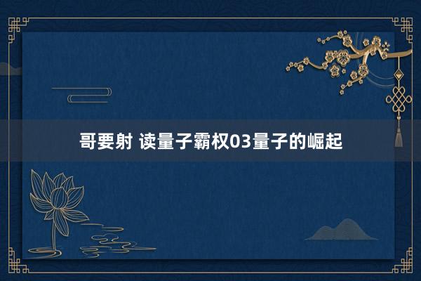 哥要射 读量子霸权03量子的崛起