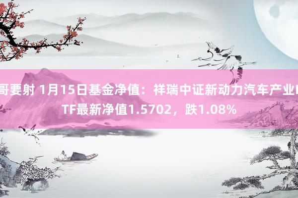 哥要射 1月15日基金净值：祥瑞中证新动力汽车产业ETF最新净值1.5702，跌1.08%