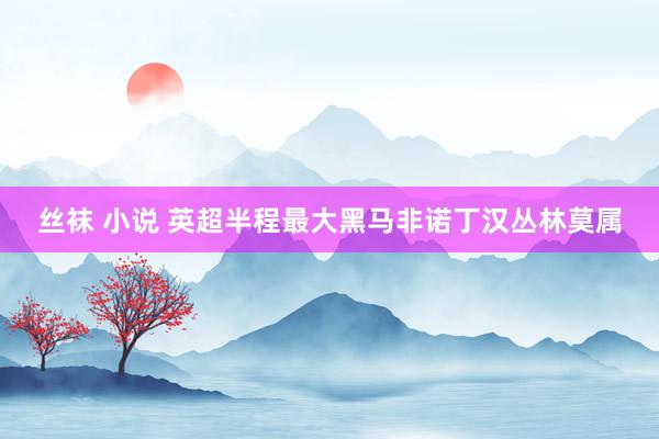 丝袜 小说 英超半程最大黑马非诺丁汉丛林莫属