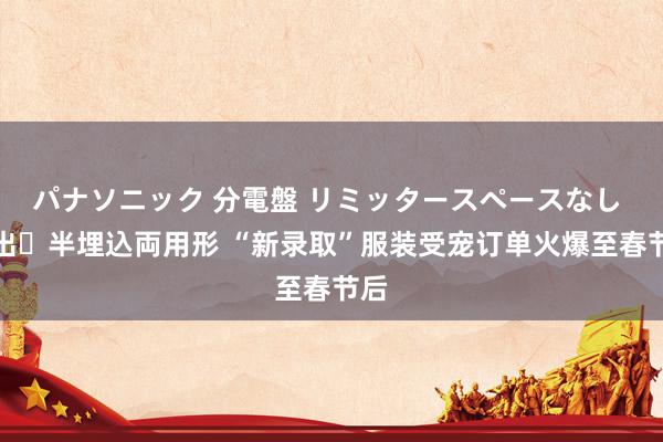 パナソニック 分電盤 リミッタースペースなし 露出・半埋込両用形 “新录取”服装受宠订单火爆至春节后