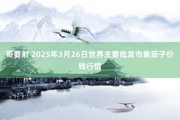 哥要射 2025年3月26日世界主要批发市集茄子价钱行情