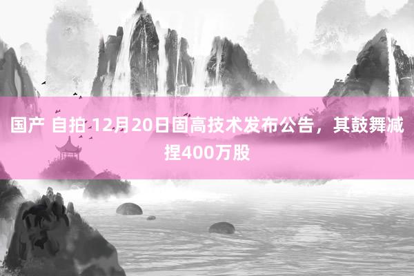 国产 自拍 12月20日固高技术发布公告，其鼓舞减捏400万股