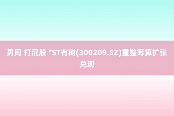 男同 打屁股 *ST有树(300209.SZ)重整筹算扩张兑现